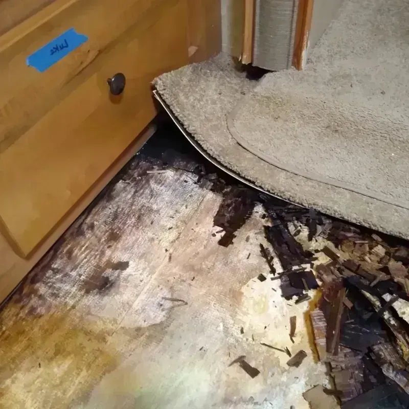 Wood Floor Water Damage in Taylor County, GA